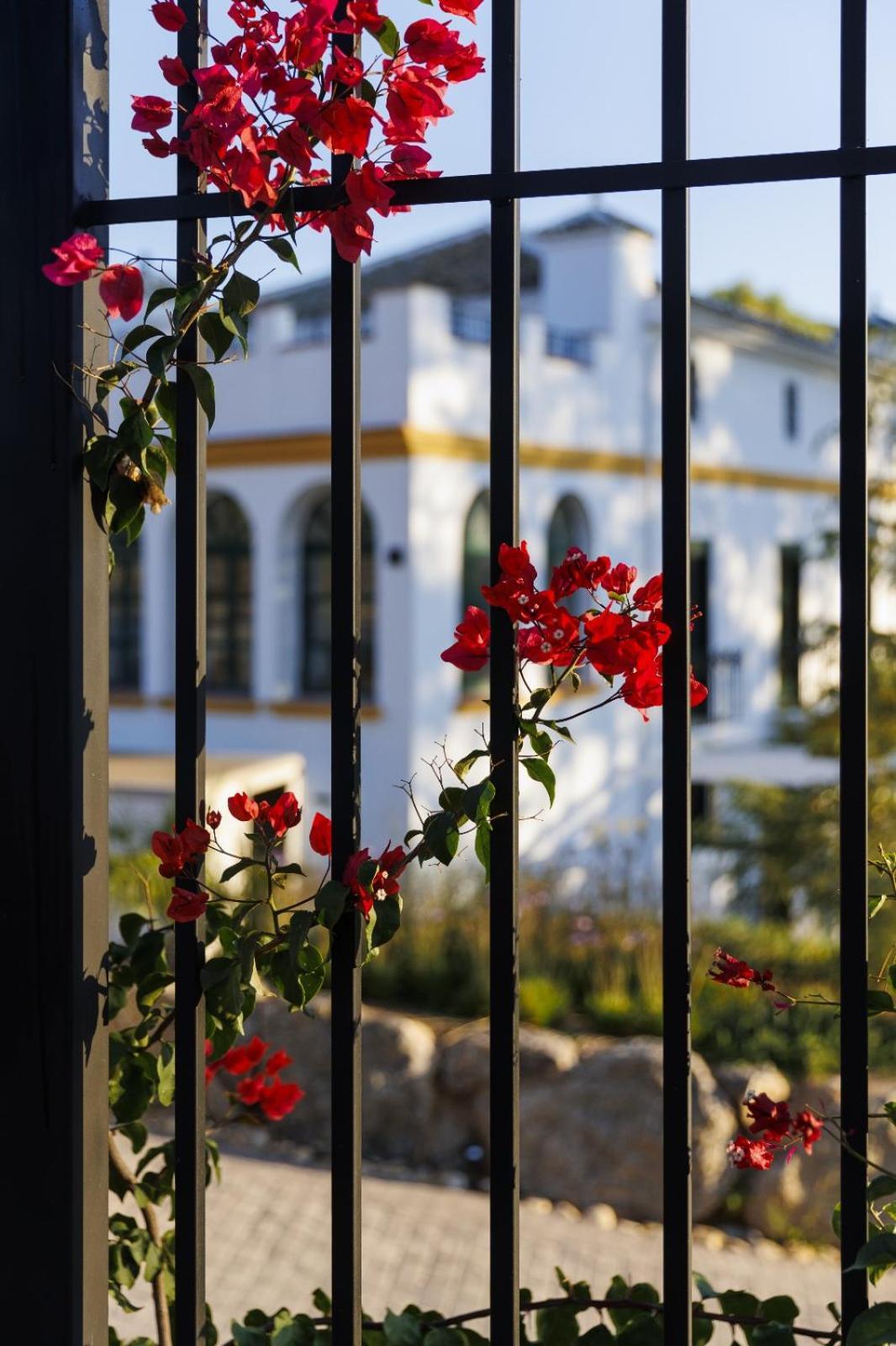 Finca Las Pecas Zambra Dış mekan fotoğraf