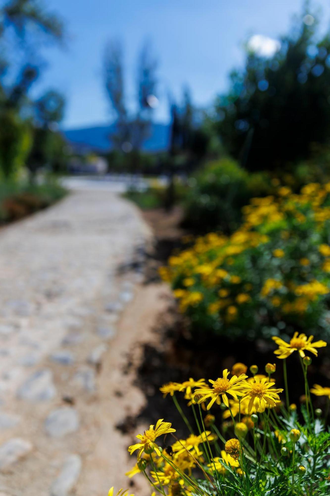 Finca Las Pecas Zambra Dış mekan fotoğraf